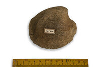 F 10140
<br/>
<br/>
<em></em>